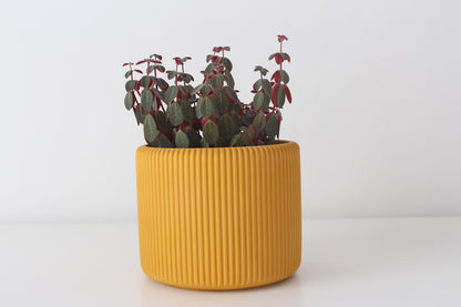 Colorful handmade ribbed planter