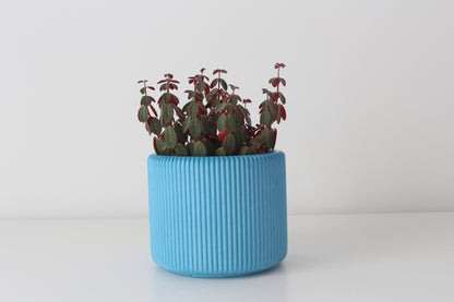 Colorful handmade ribbed planter