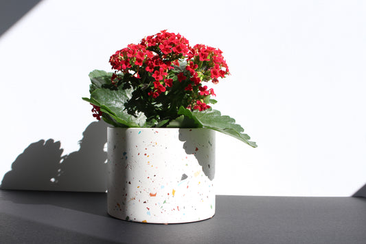 Terrazzo cache pot (medium size)