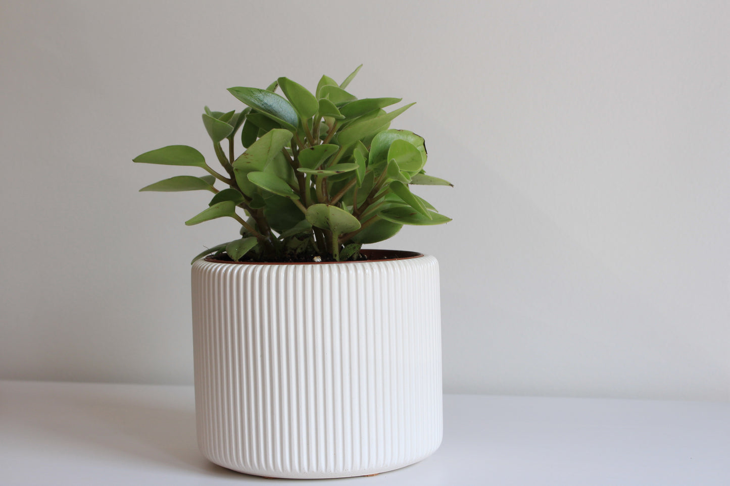 Colorful handmade ribbed planter